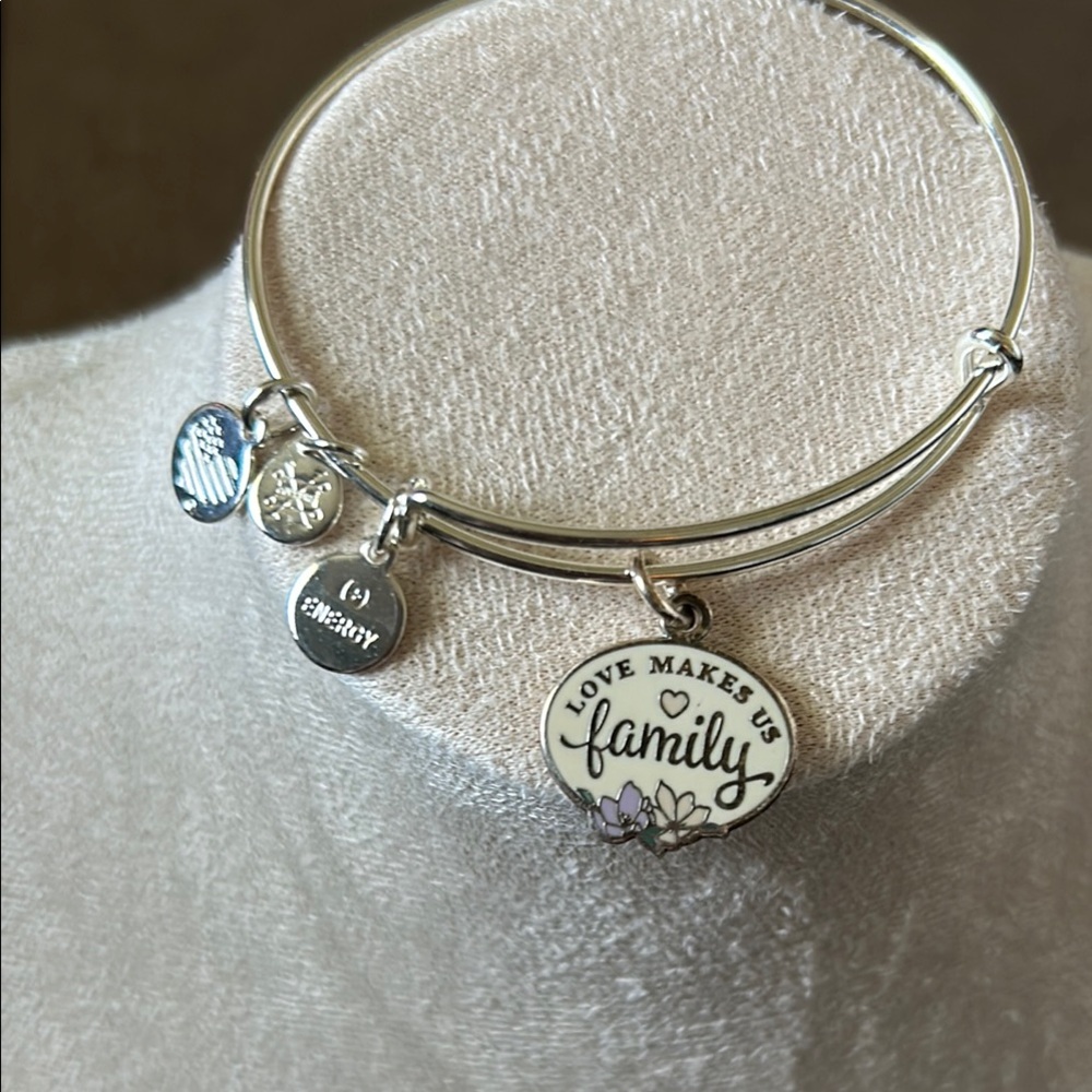 Alex and Ani  Silver Charm Bangle Bracelet love Makes Us Family